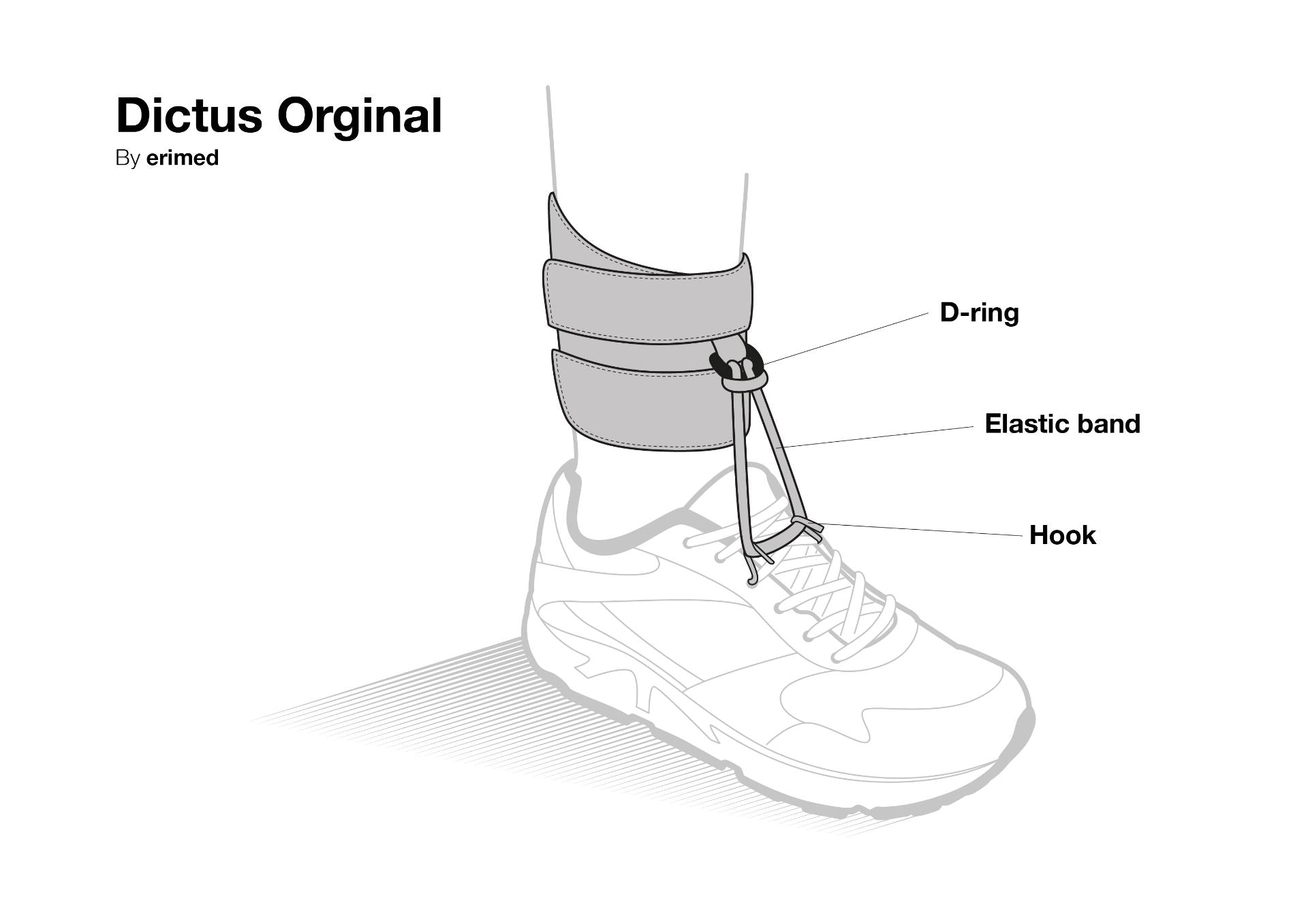 Dictus Band – leather construction for foot lift and alignment