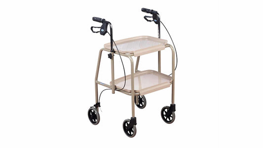 Days Tray Mobile Walker with Handbrakes